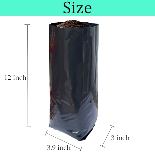 gardtree 100 Pcs Tall Plant Nursery Bags 3.9" x 12", Deep Root Plastic Plant Grow Bags Thicken Tree Seedling Pots for Vegetables, Flower, Fruit, Citrus, Nut Trees, Taproot Saplings - size: 3.9"x12"/100PCS