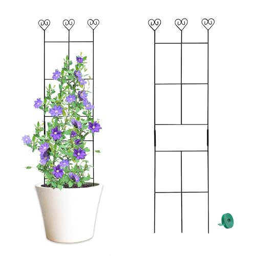 2 Pack 31" Metal Plant Trellis for Climbing Plants, Plant Support - size: 30in/2Pack