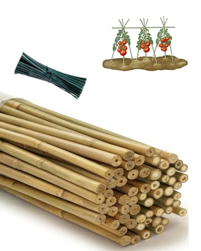 4 Ft Bamboo Stakes with Twist Ties Natural Bamboo Garden Stakes for Tomatoes Cucumber Grapes Pole Beans Trees Potted Dahlia 60 Pack - size: 4 FT-60 PACK & Ties