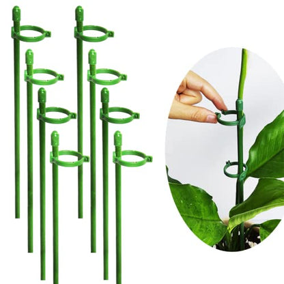 Belit 8 Pack Small Plant Support Plant Stakes, Adjustable Garden Single Stem Support Stake, Planter Support Ring for Orchid, Rose, Peony, Peppers and More, DIY 31.5 inch - size: 31.5Inch