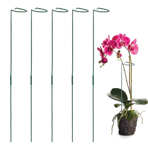 Avxdbr 5Pcs Plant Stakes for Flowers 23.6 Inch Or 11.8 Inch Metal Plant Cage Support Rings Garden Single Stem Stake with Adjustable Height for Garden Support Indoor Outdoor Plants