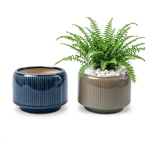 6 Inch Ceramic Plant Pots Set of 2 with Drainage Hole for Indoor Plants - color: Navy & Taupe