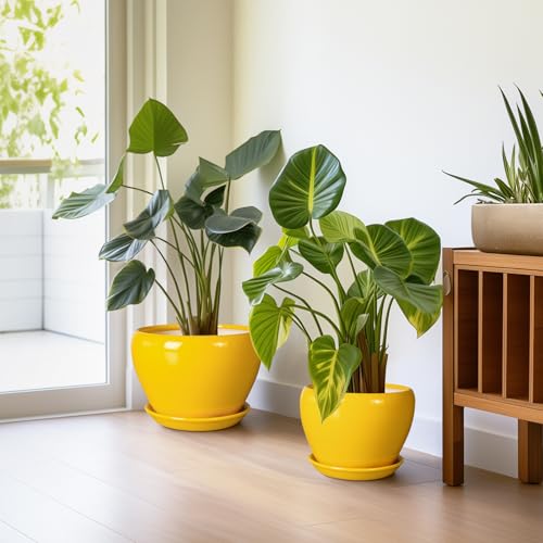 Ceramic Planters Set of 3, 10+8+6 Inch Plant Pots Indoor, Yellow - color: Bright Yellow