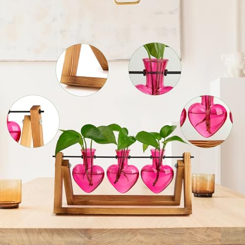 XXXFLOWER Plant Terrarium Propagation Stations 3 Heart Shaped Vases - size: 3 Heart Vase