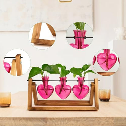 XXXFLOWER Plant Terrarium Propagation Stations 3 Heart Shaped Vases - size: 3 Heart Vase