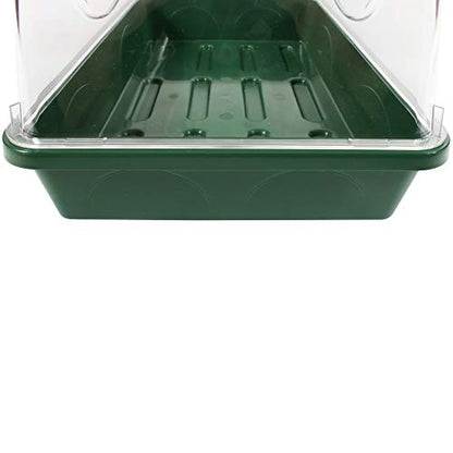 EarlyGrow 93763 Medium Seed and Herb Domed Propagator with Vented Side Height Extension, Green - size: Medium with 1 Height Extender