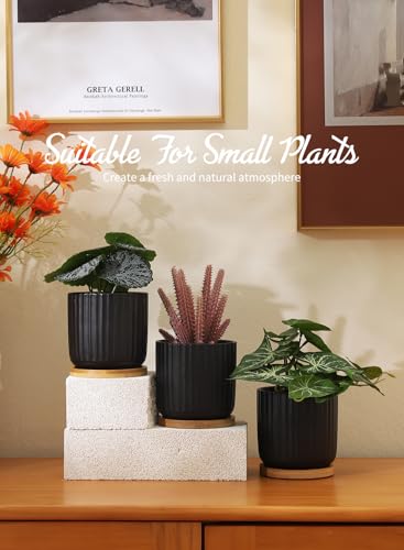 4 Inch Small Plant Pots Indoor, Ceramic Flower Pot with Drainage Hole and Tray, Modern Vertical Pattern Planter for Succulents, Snake Plant, Aloe, Herbs, Black, Set of 4 - color: Black(4inch)