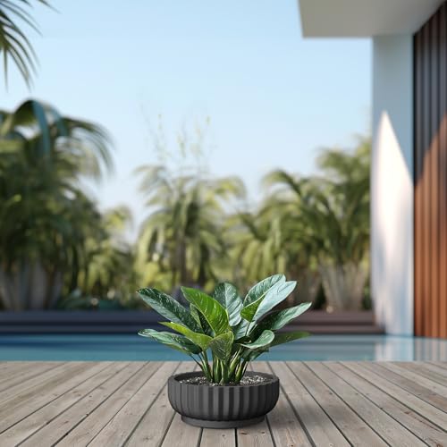Kante Accent Round Shallow Black Concrete Planter 14.6" Dia, Outdoor - color: Black, size: 14.6"w x 5.5"h