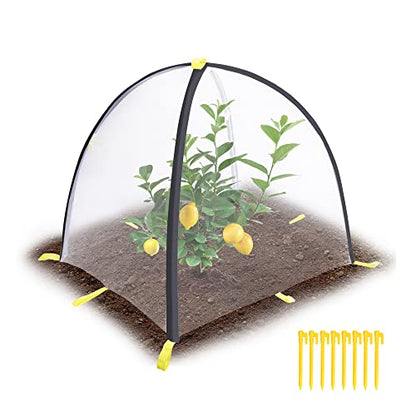 PURPLE STAR 1N 22 x 22 x 23 Inch Insect Barrier Plant Tent Cover-Bug Guard Cover with Stakes-Insect Bird Barrier Netting Mesh for Protect Vegetable Plants Fruits Flowers from Birds Animal Eating(S) - color: S