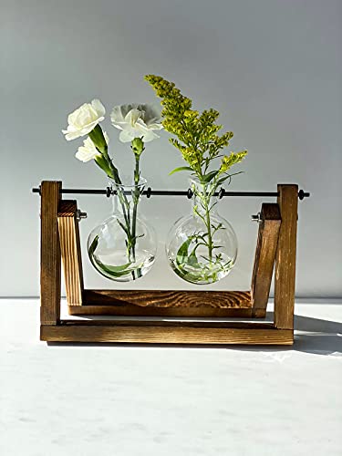 Kingbuy Glass Desktop Planter with Retro Wooden Stand, 2 Bulbs - size: 2 Bulb Vase
