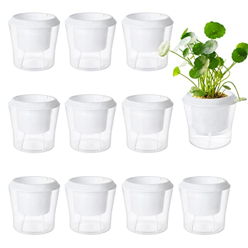 MNKNENG 12 Pack Self Watering Pots for Indoor Plants 4.3 Inch Small Self-Watering Planter Pots with Water Level Indicator, Clear Plastic Round Plant Pot for Succulent, Flower, Herb,Office Home Decor