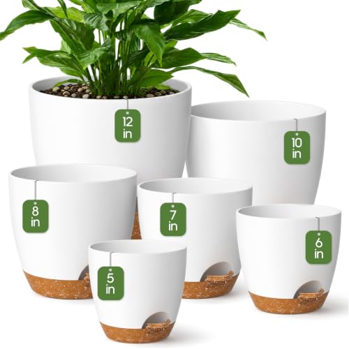 6 Size Self Watering Pots for Indoor Plants, Flower Plant Pot, White - color: White