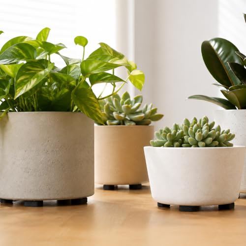 40 Pack Pot Feet for Outdoor Planters, Pot Risers 1" Wide X 0.4" Tall High