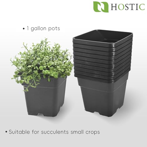 HOSTIC 1 Gallon Square Nursery Pots Flexible Plastic Pots for Plants Gallon Pot with Drainage Holes 10 Pcs - color: Black, size: 1 Gallon-10Pcs