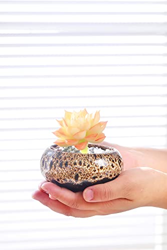 Cute Ceramic Succulent Garden Pots, Planter with Drainage and Attached Saucer, Set of 5 -Plants Not Included (Vivid Colors) - color: Vivid Colors
