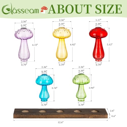 Glasseam Mushroom Propagation Station, Glass Plant Terrarium Jars with Tray