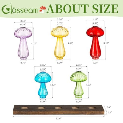 Glasseam Mushroom Propagation Station, Glass Plant Terrarium Jars with Tray