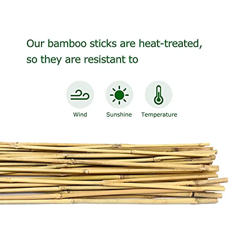 Cambaverd Bamboo Stakes 6 Feet, Tall Garden Stakes, 20 Pack Bamboo Poles - size: 6 FT-20 PACK