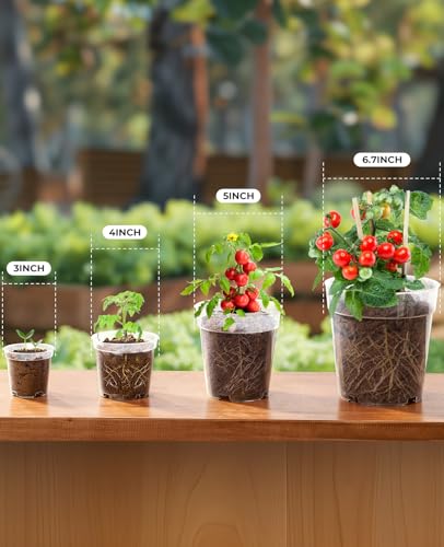 homenote 3/4/5/6.7 Inch Clear PP Nursery Pots with Drainage Holes (36 Pcs) - color: Transparency-no Lid, size: 3/4/5/6.7 Inch-36 Pack