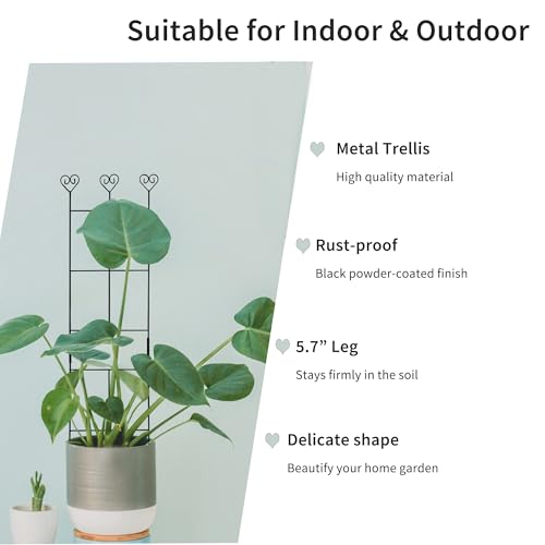2 Pack 31" Metal Plant Trellis for Climbing Plants, Plant Support - size: 30in/2Pack