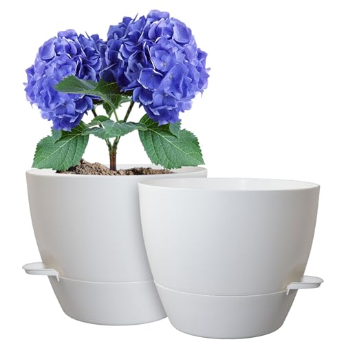 WSMKSZ 10 inch Self Watering Pots, 2 Pack Plastic Planters with Mesh Drainage Holes for Garden Plants and Flower, Plants Pots with Deep Reservoir for Indoor Outdoor Plants, White - color: White, size: 10inch 2pcs