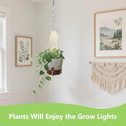 Hanging Planters - Help Plants Thrive in Low Light - color: Self Watering White(daylight), size: 10 Inch