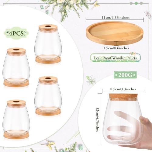 Nuanchu 4 Pcs Desktop Plant Terrarium Vase, Large
