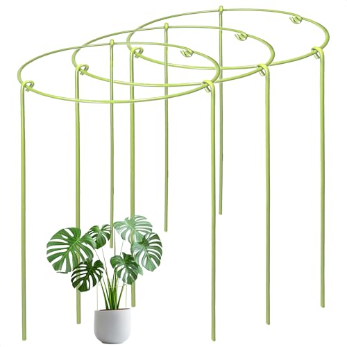 3-Pack Heavy Duty Plant Stakes and Supports for Indoor Outdoor Plants, Metal Support Stakes & Cage Rings, Ideal for Monstera, Peonies, Roses (10" W x 17" H) - size: 10"W x 17"H, 3-Pack