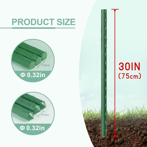 Garden Stakes 30in, Plastic Coated Steel Plant Stakes 30pcs Specifically Designed for Climbing Plants, Ideal for Tomatoes, Beans, Cucumbers, Peppers, Vines, and More Plant Growth - size: 30in, 30 of pack
