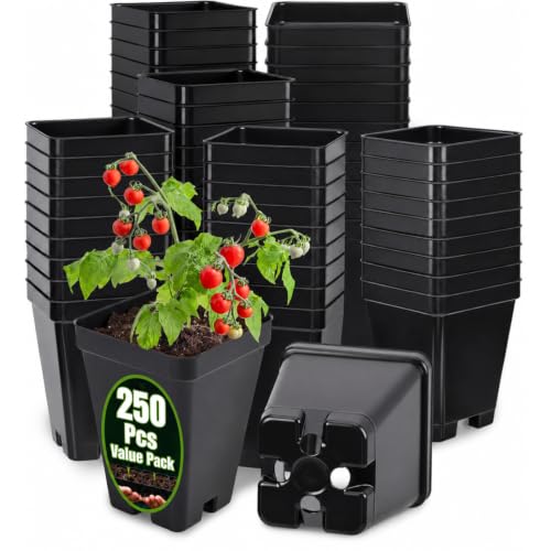 Remerry 250 Pcs Square Nursery Pots 2.63 x 3.5 Inches (D x H) Plastic Seedling Pots with Drainage Holes, Seeds Starter Germination for Plants, Black