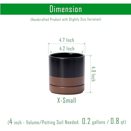 D'vine Dev 2-Pack Ceramic Pots with Saucers, Black/Tan, 4.7 in, 94-V-B-7 - color: Black/Speckled Tan, size: 4.7 Inch