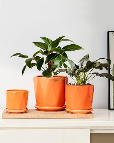 Ceramic Plant Pots Set of 3, Indoor Planter with Drainage Holes and Saucers - color: 2-orange