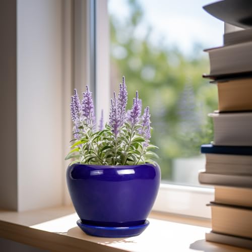 Ceramicfor 6 Inch Plant Pot - Ceramic Pots for Plants Succulent Pot with Drainage Hole and Saucer Round Planter Outdoor Flower Pot for Herb Snake Plants Blue - color: Royal Blue, size: 6 Inch