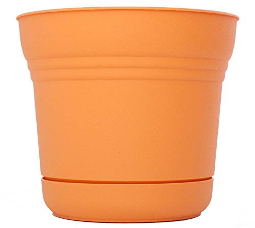 Bloem SP1020 Saturn Planter, 10", Tequila Sunrise - color: Tequila Sunrise, size: 10"