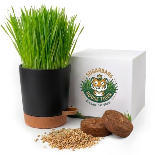 House Tiger Cat Grass Kit | Aids Digestion, Hairball Control & Oral Health | The Complete Kit Includes Nutrient-Rich Cat Grass Seed, Self-Watering Stay Fresh Pot & Eco Friendy Coco Coir Soil Discs - size: Starter Kit