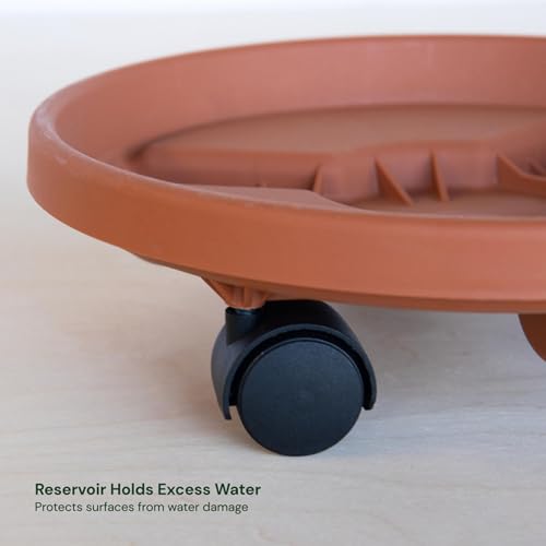Bloem 16" Plastic Plant Caddy with Wheels, 150 lb Capacity, Terra Cotta - color: Terra Cotta, size: 16"
