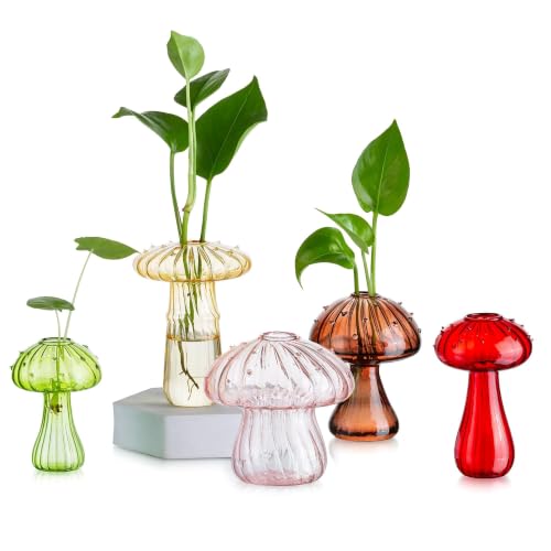Glasseam Mushroom Plant Propagation Station: 5 Pcs Glass Mini Terrarium - color: Colorful, size: 5