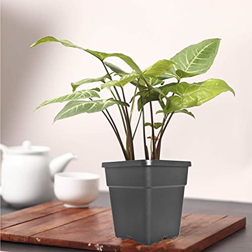 10-Pack 1.4 Gallon Square Plastic Garden Planter Pots Flower Seedling Container Fit for Indoor Outdoor Plants Seedlings Flowers Vegetables Black