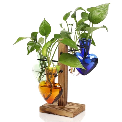 Plant Terrarium Propagation Stations with Wooden Stand - color: Color-01