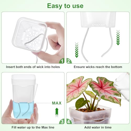 2" Clear Self Watering Pots for Indoor Plants,16PCS Mini Plastic Nursery Planters with Water Level Indicator & Drainage Holes for Propagation,Succulents,Seedling,African Violet,Plant Labels - size: 2 Inch