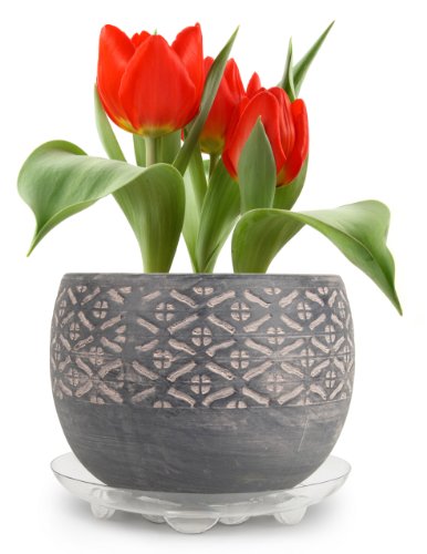 Plastec SS016 Super Saucer for Planters, 16-Inch (P56 SS016) - size: 16