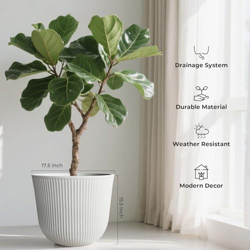 Worth Garden Round Large Planter Pot 1-Pack - 17.5" Dia x 15.5" H - Durable Plastic White Plant Tree Pots with Vertical Stripe Textured Finish, Drainage Hole for Indoor, Outdoor, Front Porch, Patio - color: White, size: 1-Pack