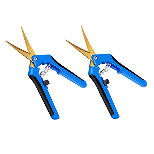 iPower GLPRNR6BLTIX2 2-Pack 6.5” Gardening Hand Pruner Shears with Titanium Coated Curved Precision Blades for Trimming House Plants, Blue - size: 2-pack, style: Blue