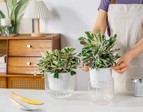 Melphoe Self Watering Pots for Indoor Plants Planter, 6.5/5.3 Inch 2 Pack Planters Self Watering Plant Pots for Flower, Houseplants, Succulent, African Violets and Cactus with Drainage - color: White, size: 6.5''+5.3''