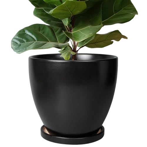 Ceramic Planter - 10 Inch Plant Pot with Drainage Hole and Tray, Round Flower Pots, Planters for Indoor Plants, Modern Room Garden Patio Bathroom Living Room Porch Home Decor, Black - color: Matte Black, size: 10 Inch