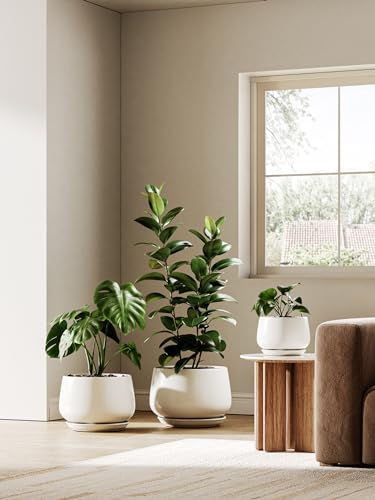 LE TAUCI Ceramic Planter, 10 Inch, Large Plant Pot, Indoor Plant Pot, White - color: White, size: 10"