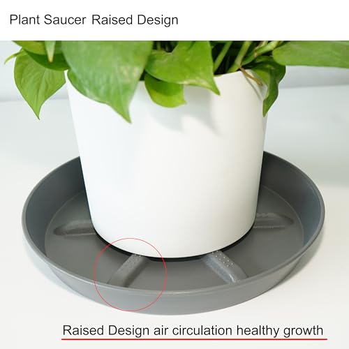 NIMYAU Plant Saucer 12 inch 2 Pack Deep Drainage Plant Saucers – Raised Middle Platform, Heavy Duty Thick Plastic Round Drip Tray - color: Gray, size: 12" (2-Pack)