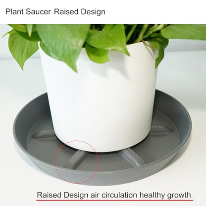NIMYAU Plant Saucer 12 inch 2 Pack Deep Drainage Plant Saucers – Raised Middle Platform, Heavy Duty Thick Plastic Round Drip Tray - color: Gray, size: 12" (2-Pack)