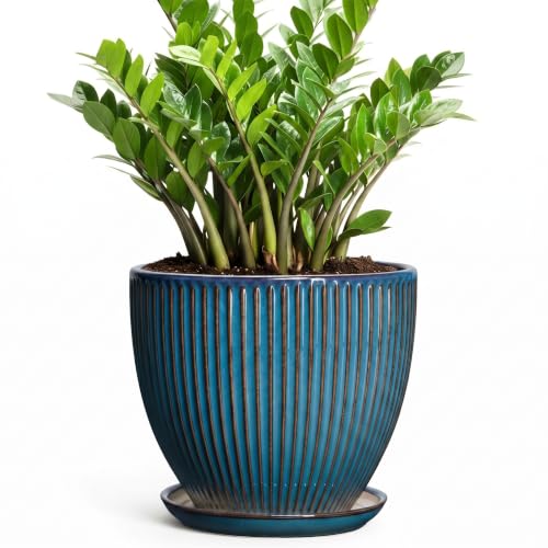 Ceramic Planter, 10 Inch Plant Pot with Saucer, Retro Blue - color: Retro Blue, size: 10 Inch