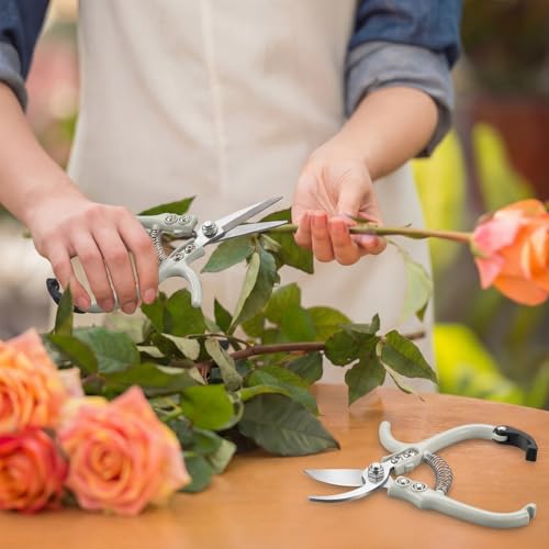 Plant Scissors with Lock 2 Pack, 6'' Bypass Hand Pruner & 6.7" Precision Garden Scissors Rust Resistant Hand Sprout Pruning Shears Gardening Tools for Herbs, Plants